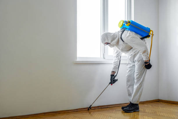 Best Pest Control for Multi-Family Homes  in Delray Beach, FL